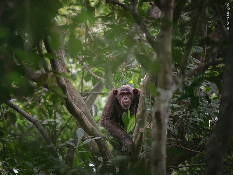 Wildlife photographer people
