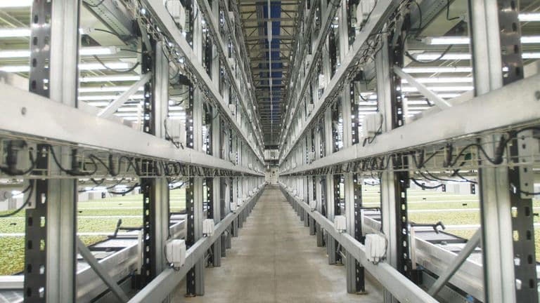 Could this be the future of farming? Inside Europe