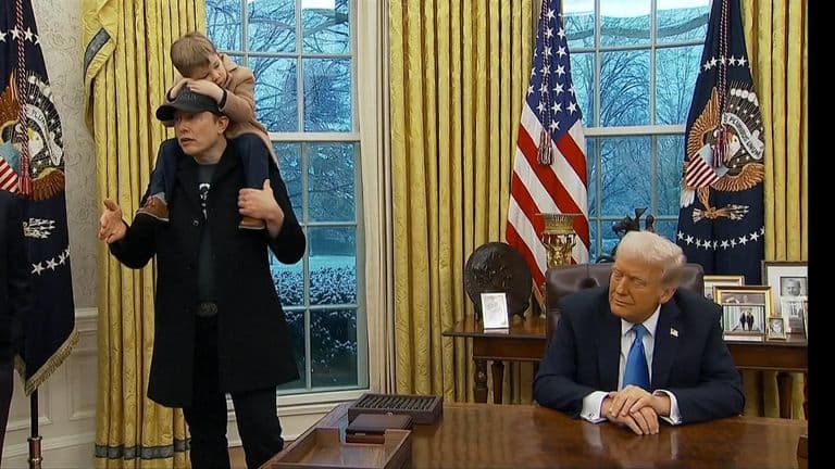 Elon Musk joins Donald Trump in Oval Office as he denies