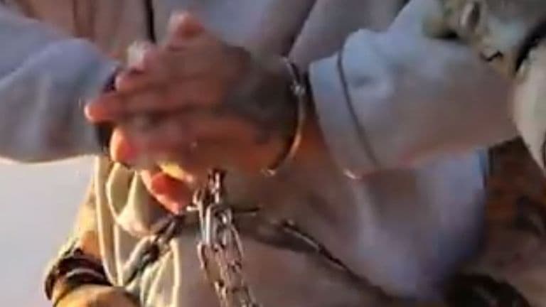 US rock band Semisonic criticises White House for using their song in video of shackled deportee