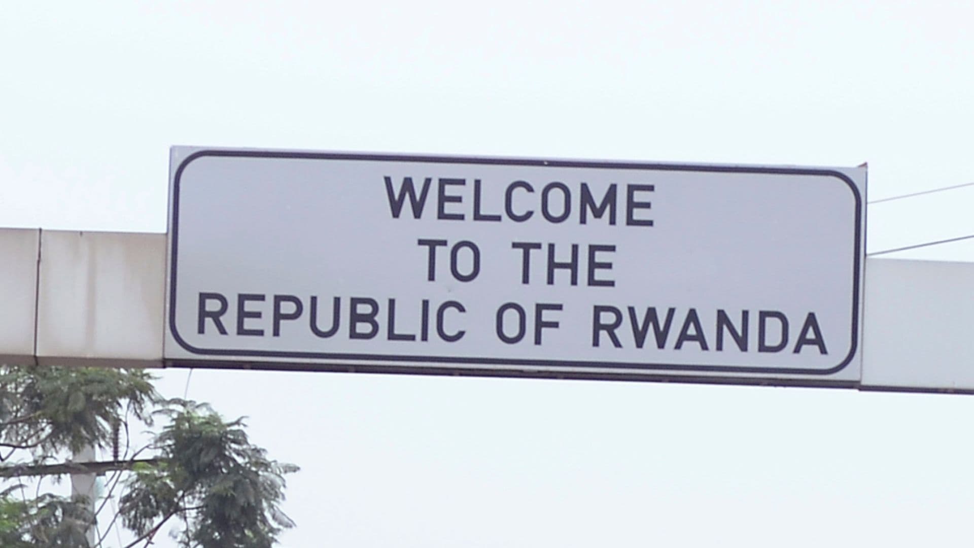 Whole Tory cabinet knew Rwanda Bill wouldn
