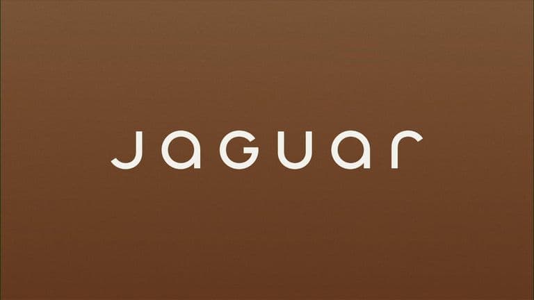 Jaguar: British luxury vehicle maker has a new advert that doesn