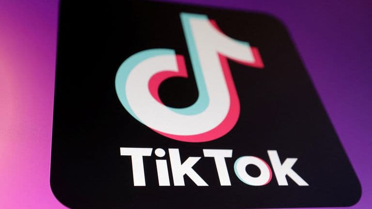 TikTok, Reddit and Imgur to be investigated over use of children
