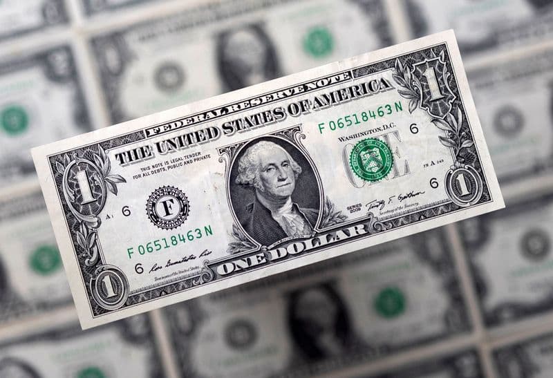 Dollar at one-year high as Trump trade momentum eclipses Fed easing view By Reuters