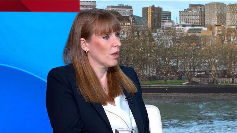 Angela Rayner says newts can