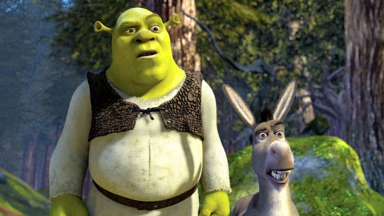 Donkey that