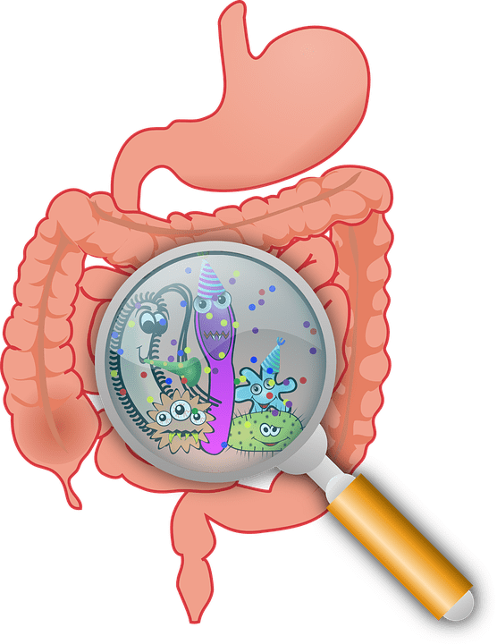 Overall yeast infection linked to mental illness – ScienceAGoGo
