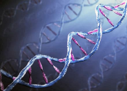 Brain inflammation linked to compromised reward circuits in depression –