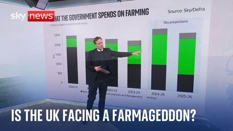 How climate change and red tape could be jeopardising UK access to affordable food