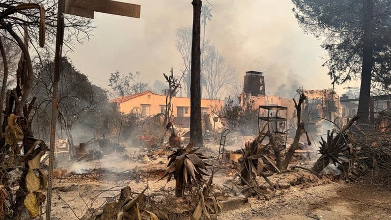 Excitement builds for Oscars – but Hollywood still reeling from wildfires