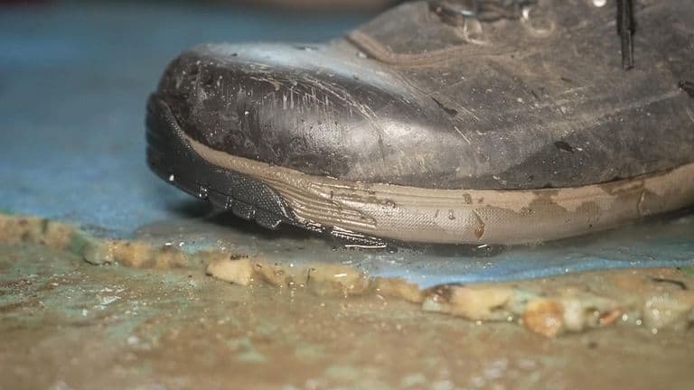 How people are coping with the floods: Carpets, furniture and food destroyed as homes deluged under feet of water