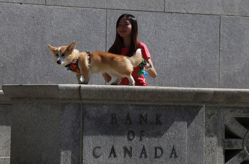 Bank of Canada cuts rates by 50 bps, frets over possible Trump tariffs