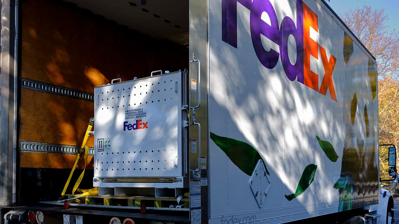 FedEx sues Trump administration for full tariff refunds after Supreme Court ruling on IEEPA