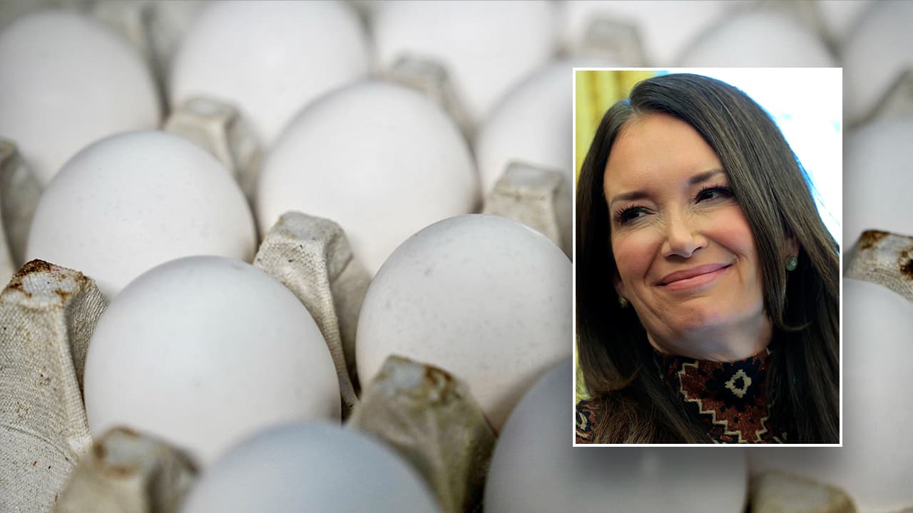 ​Egg prices crack records ahead of Easter holiday, but relief may be on the horizon: 'The plan is working'