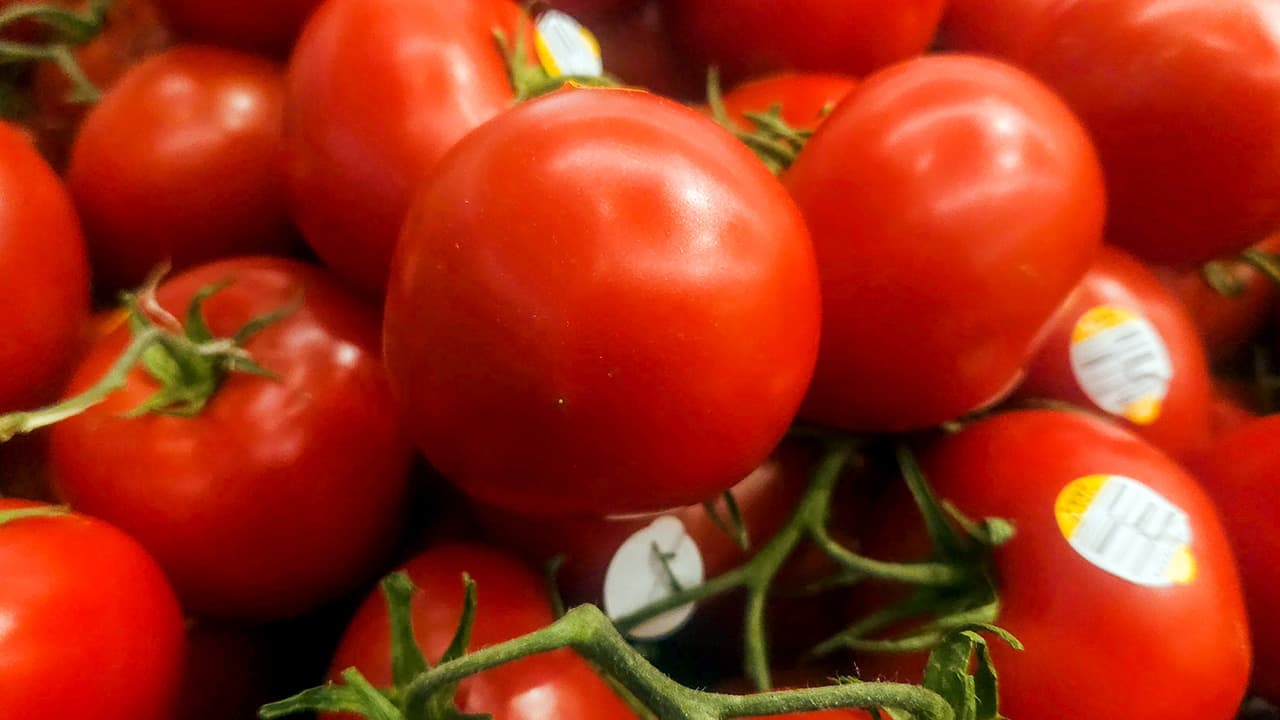 Tomato trade showdown: Farm groups push back on 21% tariff on Mexican imports