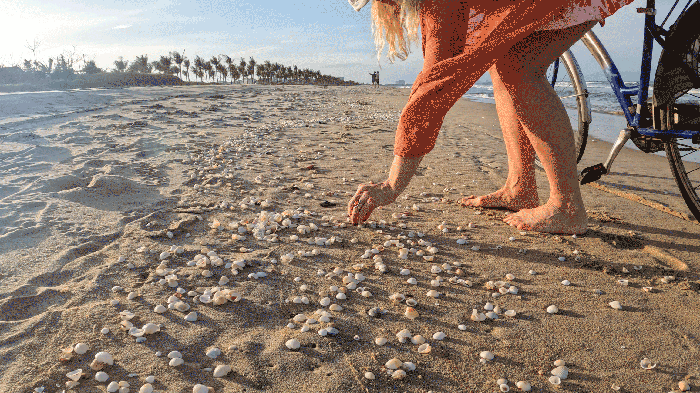 Beach visitor accidentally picks up shell of venomous snail that can kill a human in moments