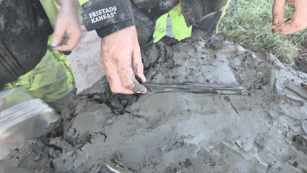 'Well-preserved' 5,000-year-old dog buried with bone dagger unearthed in ancient bog