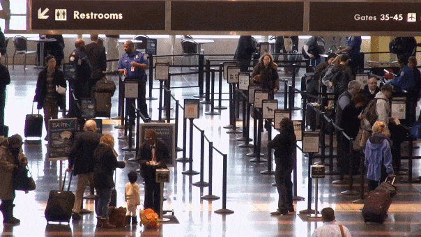 Shocking airport security busts reveal bizarre and hidden items tucked away in luggage