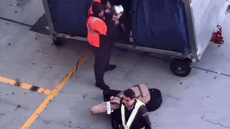 Baggage handler slammed after viral video shows guitars violently tossed on tarmac