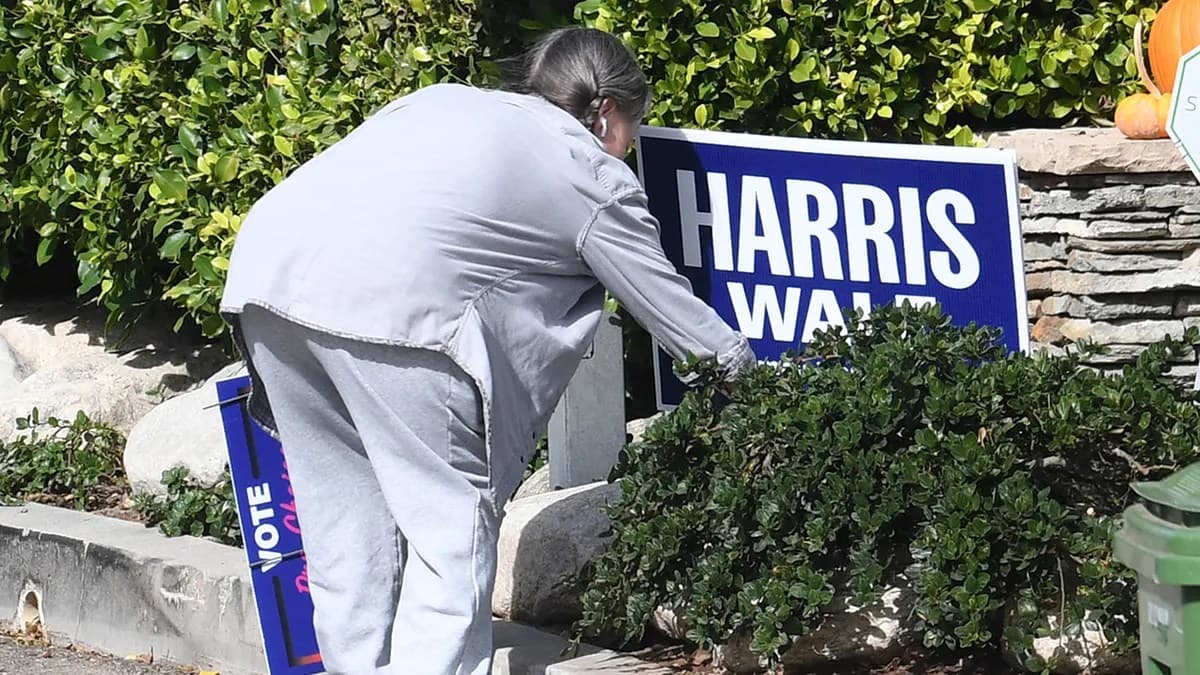 Kamala Harris supporter Sally Field trashes campaign sign after Donald Trump victory