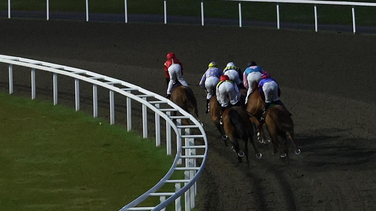 Chelmsford race voided as stalls stranded on track and horses pulled up by jockeys