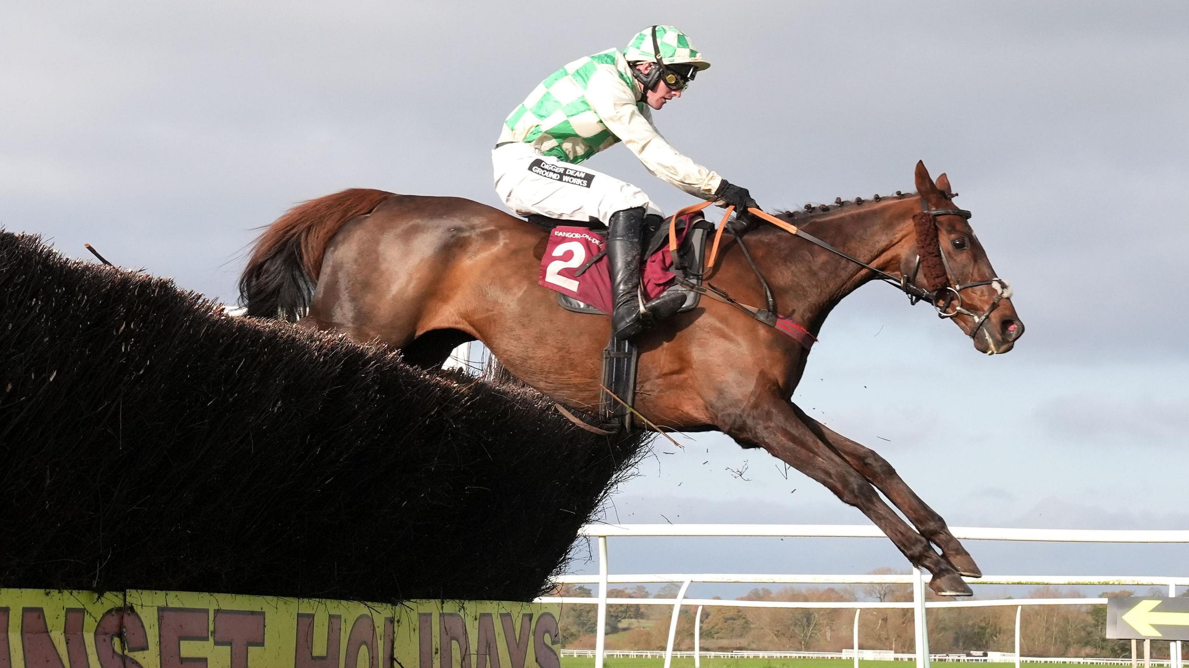 Celebre d’Allen: Grand National runner dies after collapse at Aintree