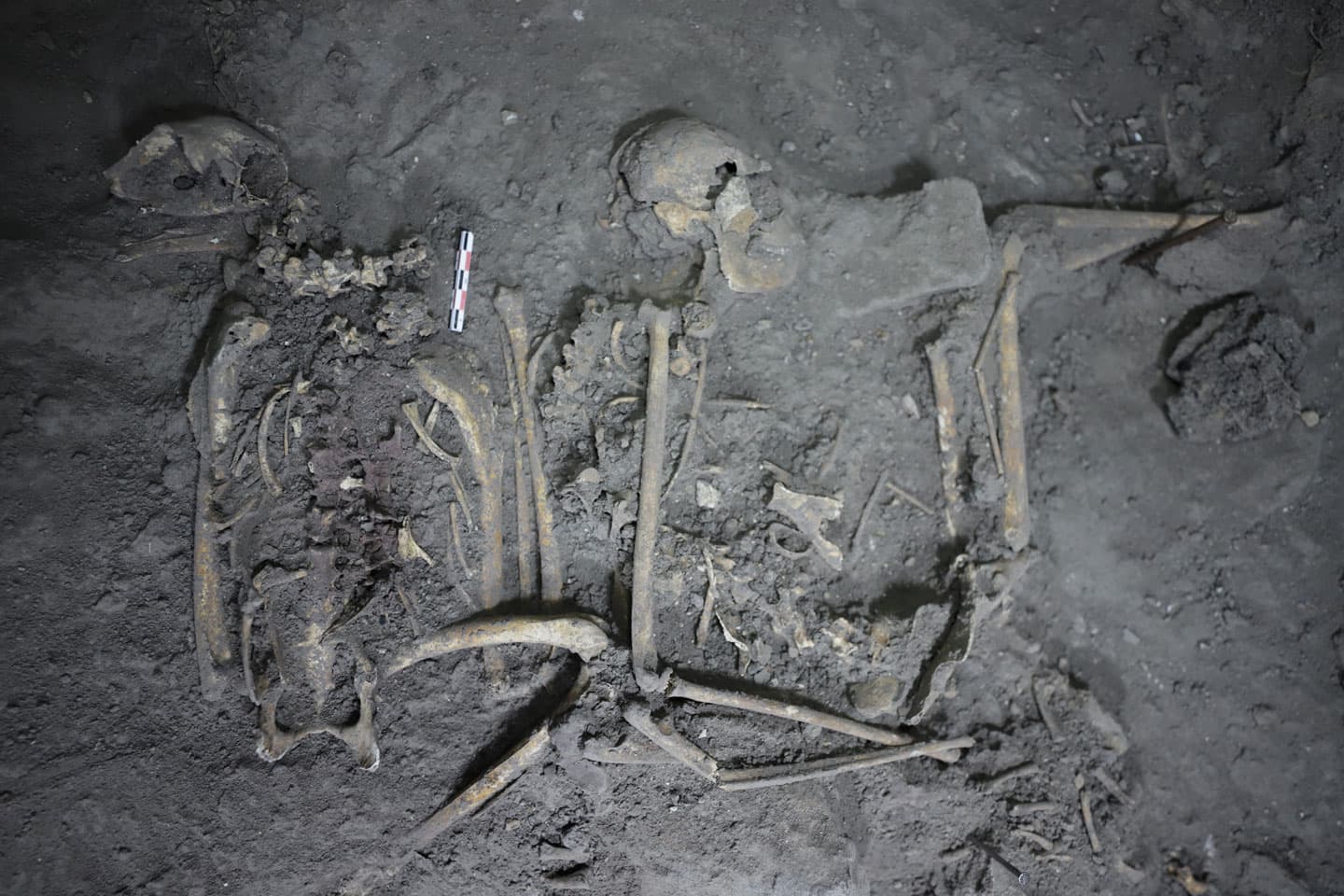 A huge, ancient Maya city has been found in southern Mexico