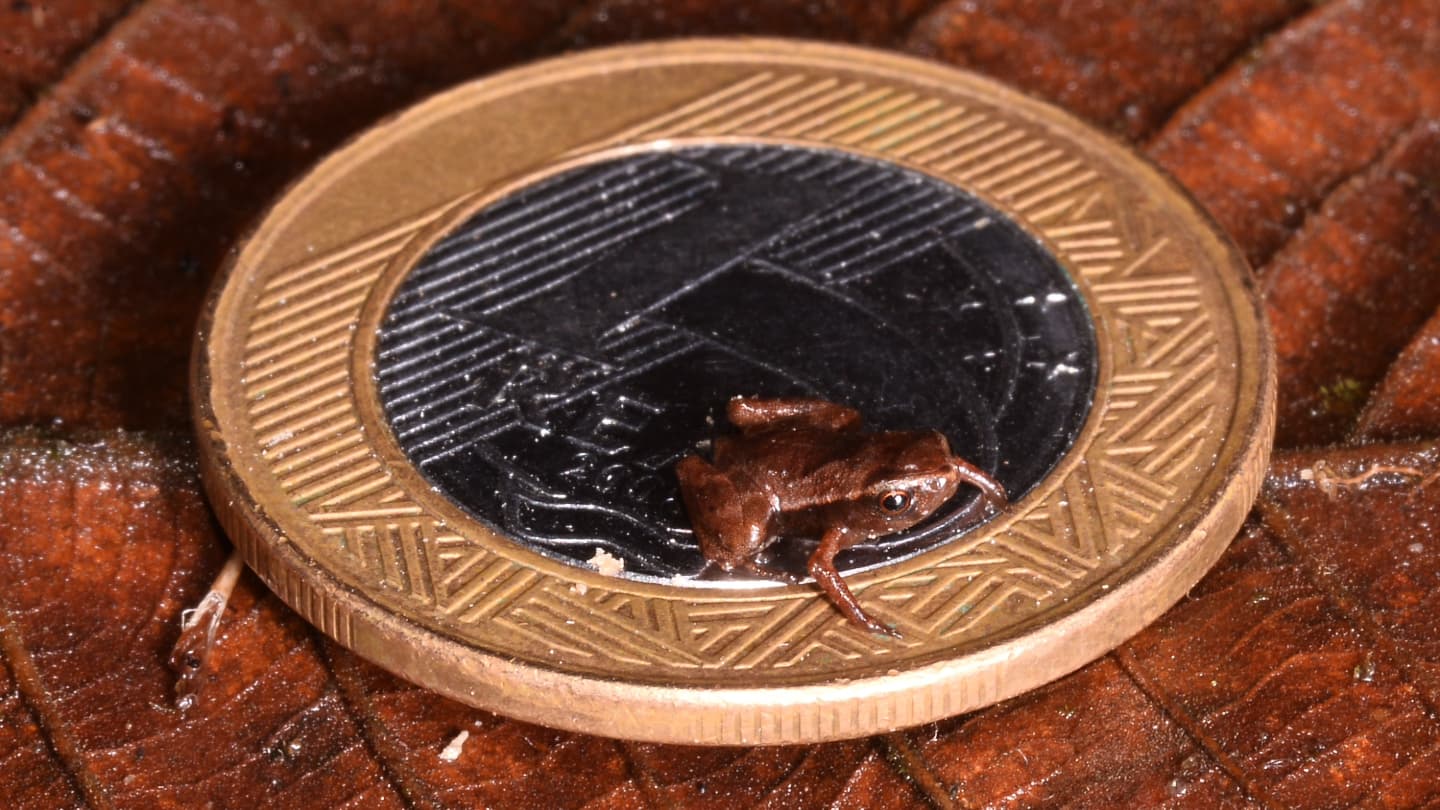 These scientific feats set new records in 2024