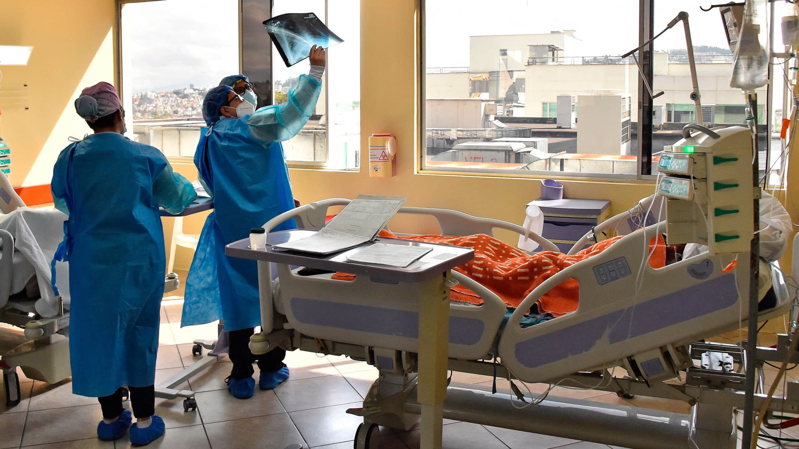 During an allergic response, some immune cells digest others