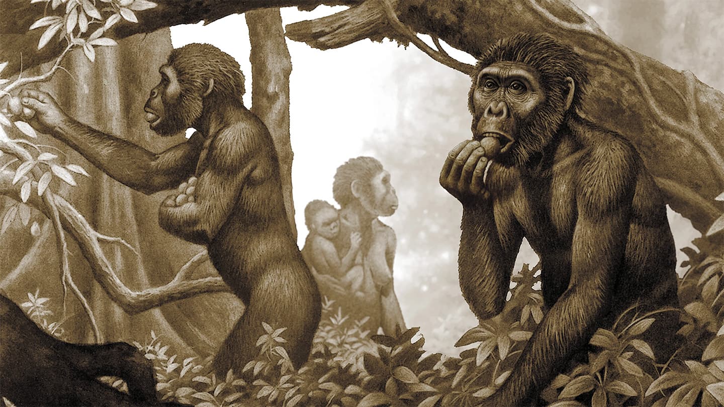 Early human ancestors didn