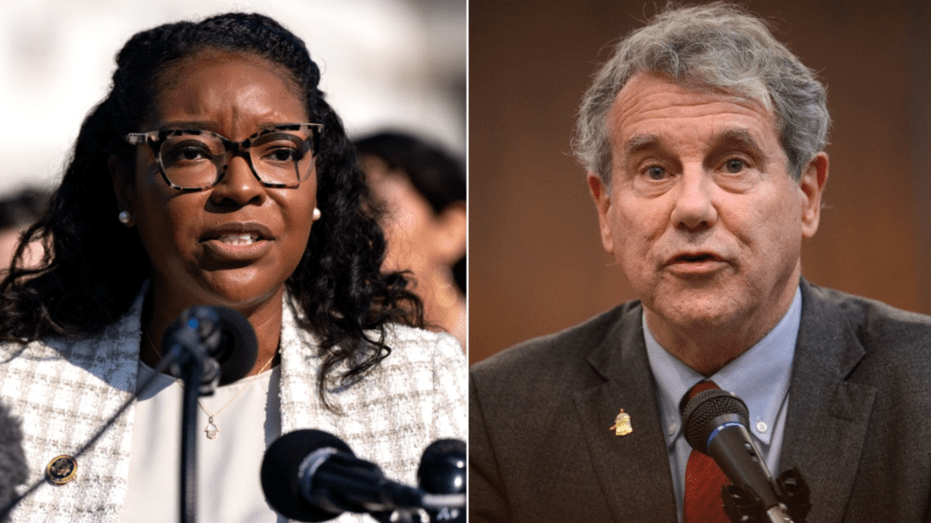 Leaked video exposes Dem staffer admitting 'quiet part out loud' in fiery tirade: 'Open the f—ing border'