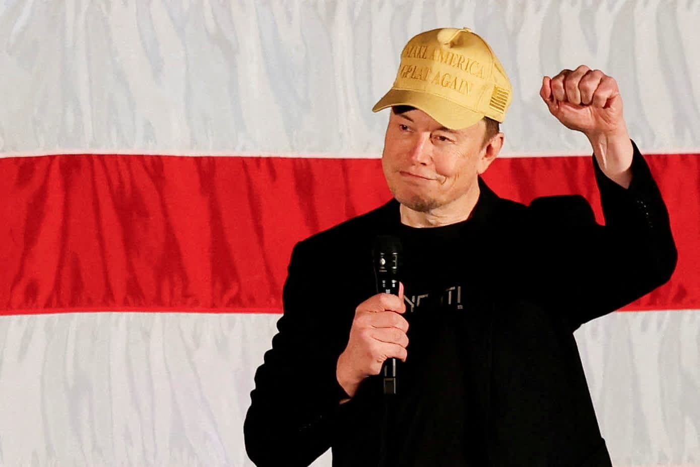 Elon Musk offers $1 million a day to entice swing state voters to sign petition
