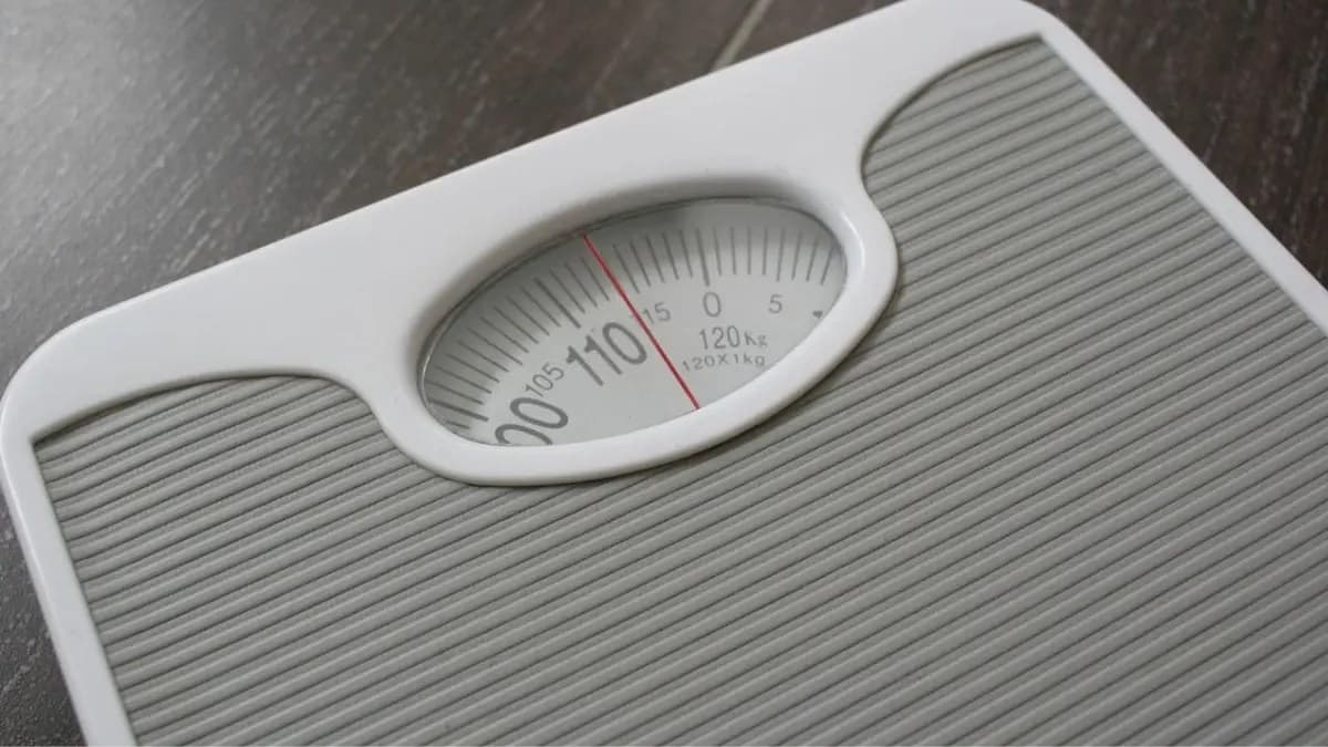 Airlines eye weight-based fees: Will heavier passengers pay more?