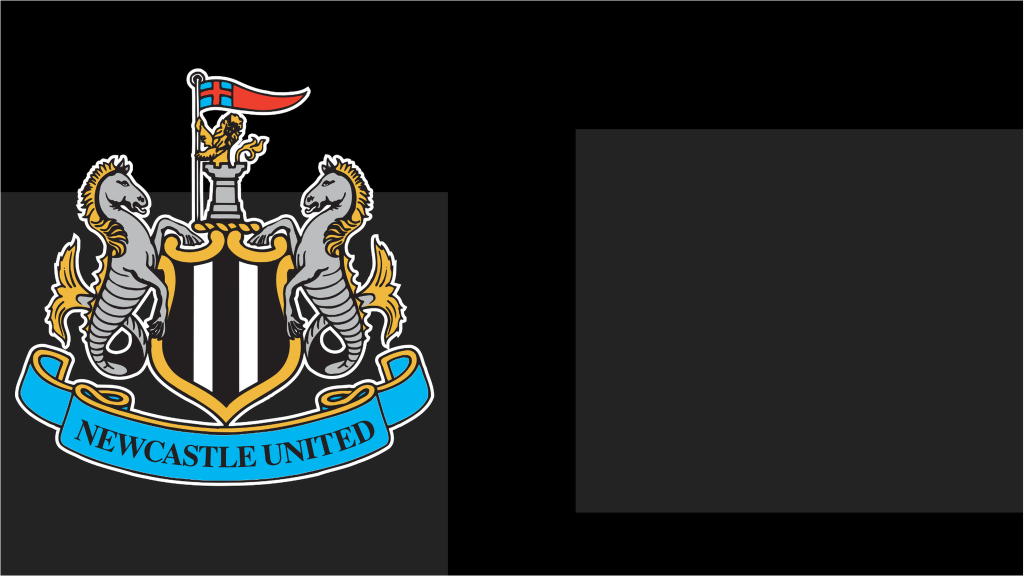 Newcastle 2-0 Arsenal: Magpies have Wembley date with destiny in Carabao Cup final