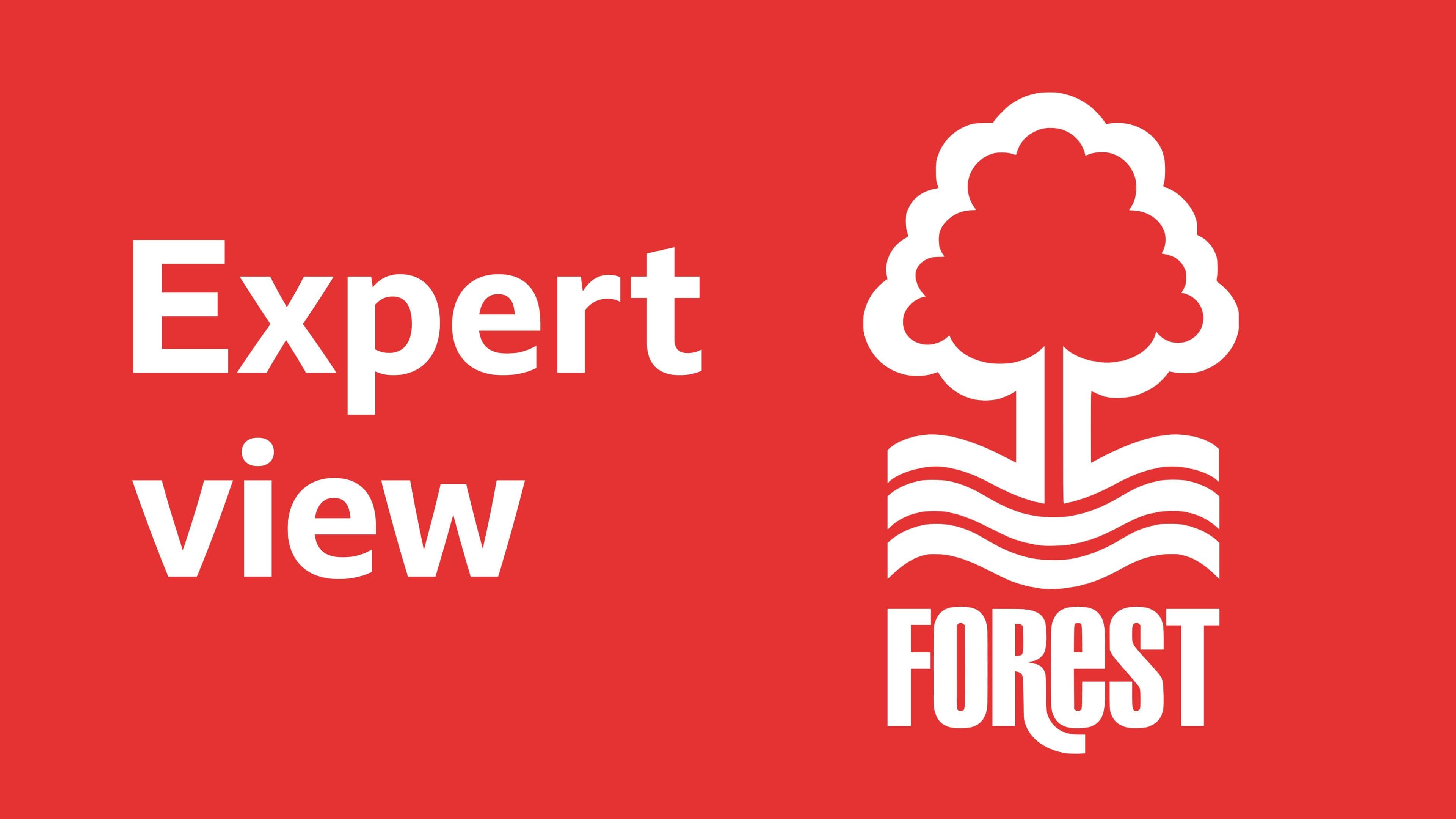England: Morgan Gibbs-White praises ‘incredible’ Thomas Tuchel as Nottingham Forest midfielder is called up