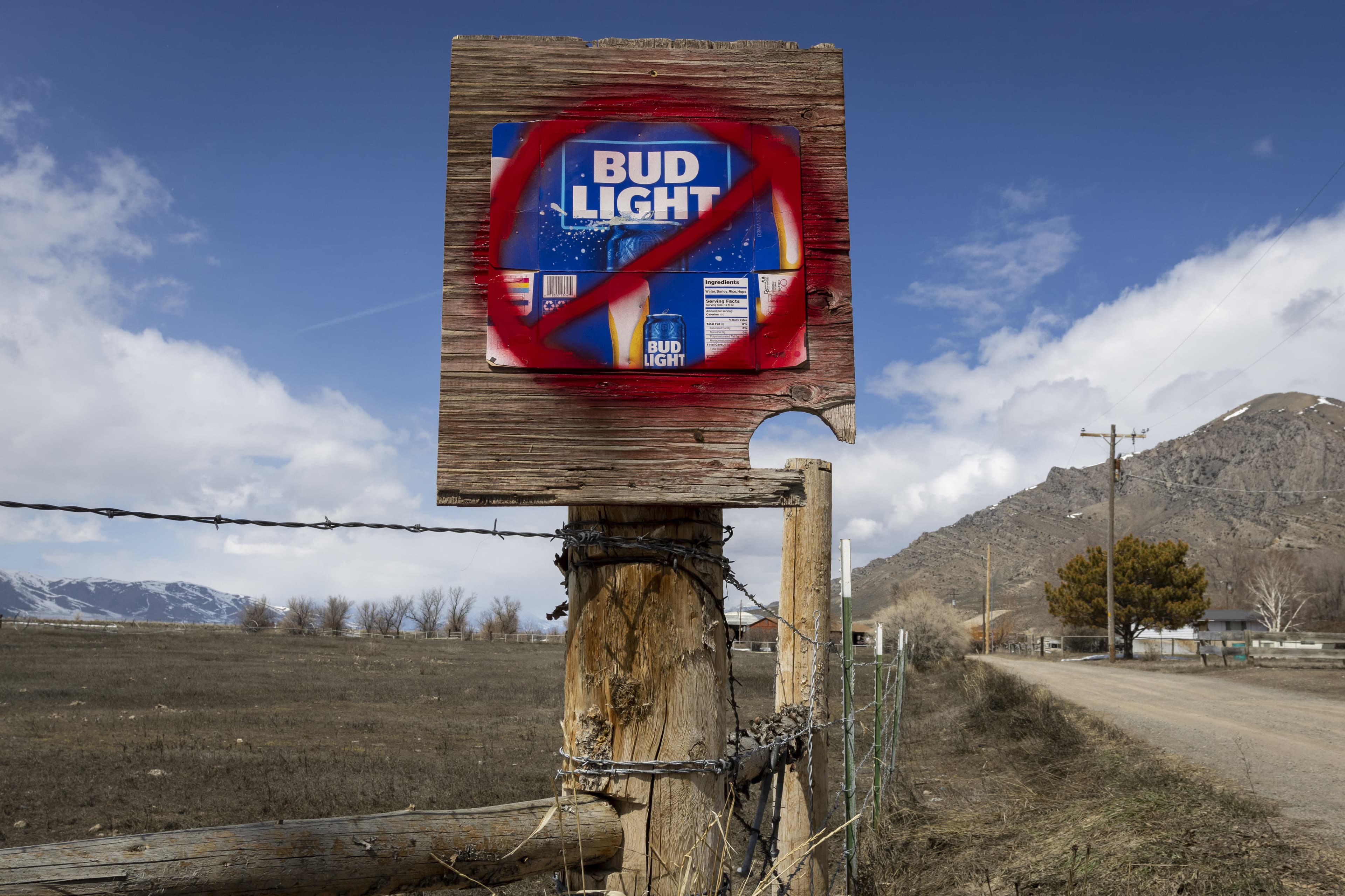 Retailers brace for DEI blowback in lead-up to election, holiday shopping season