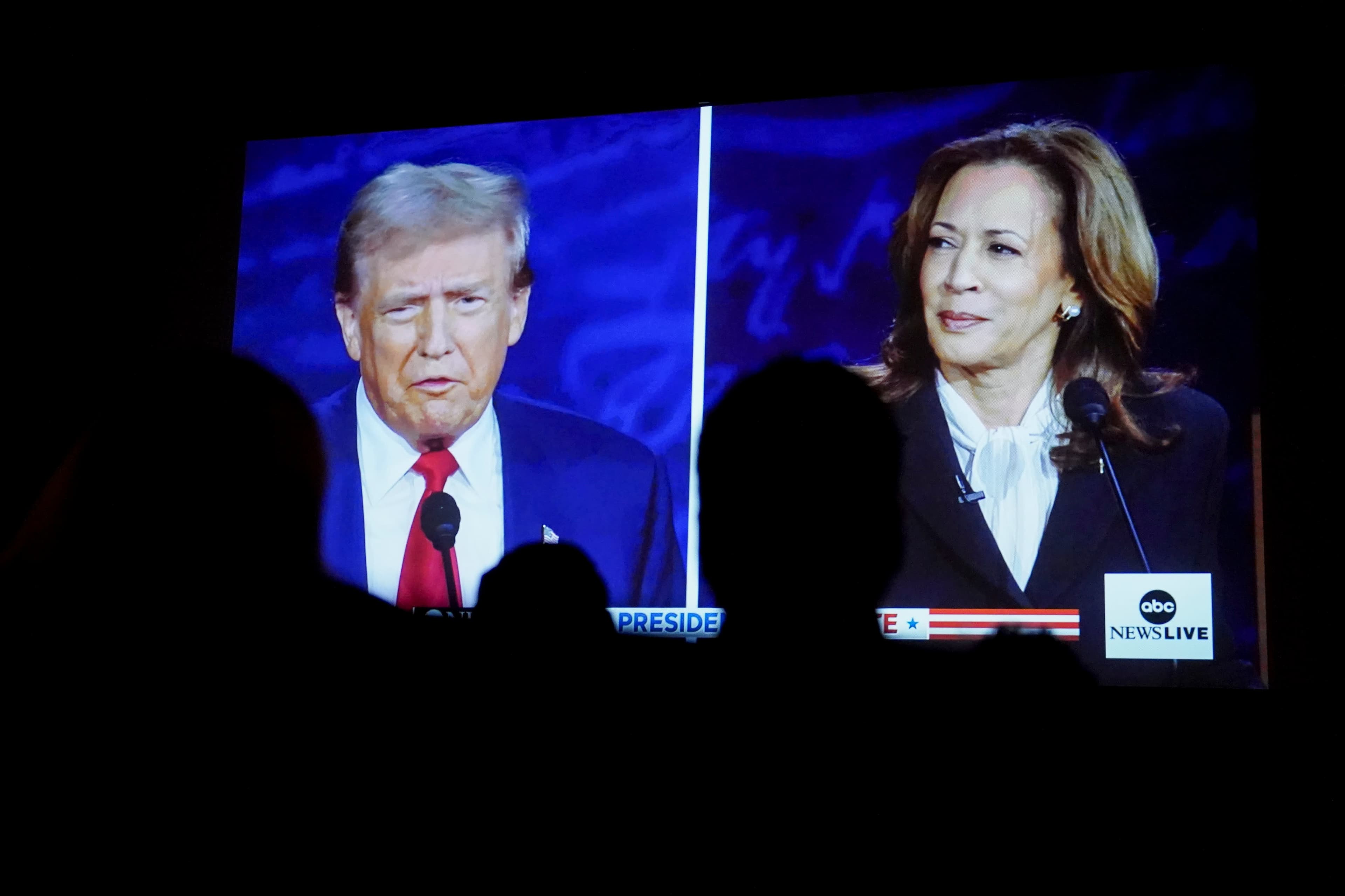 Trump or Harris? Here are the 2024 stakes for airlines, banks, EVs, health care and more