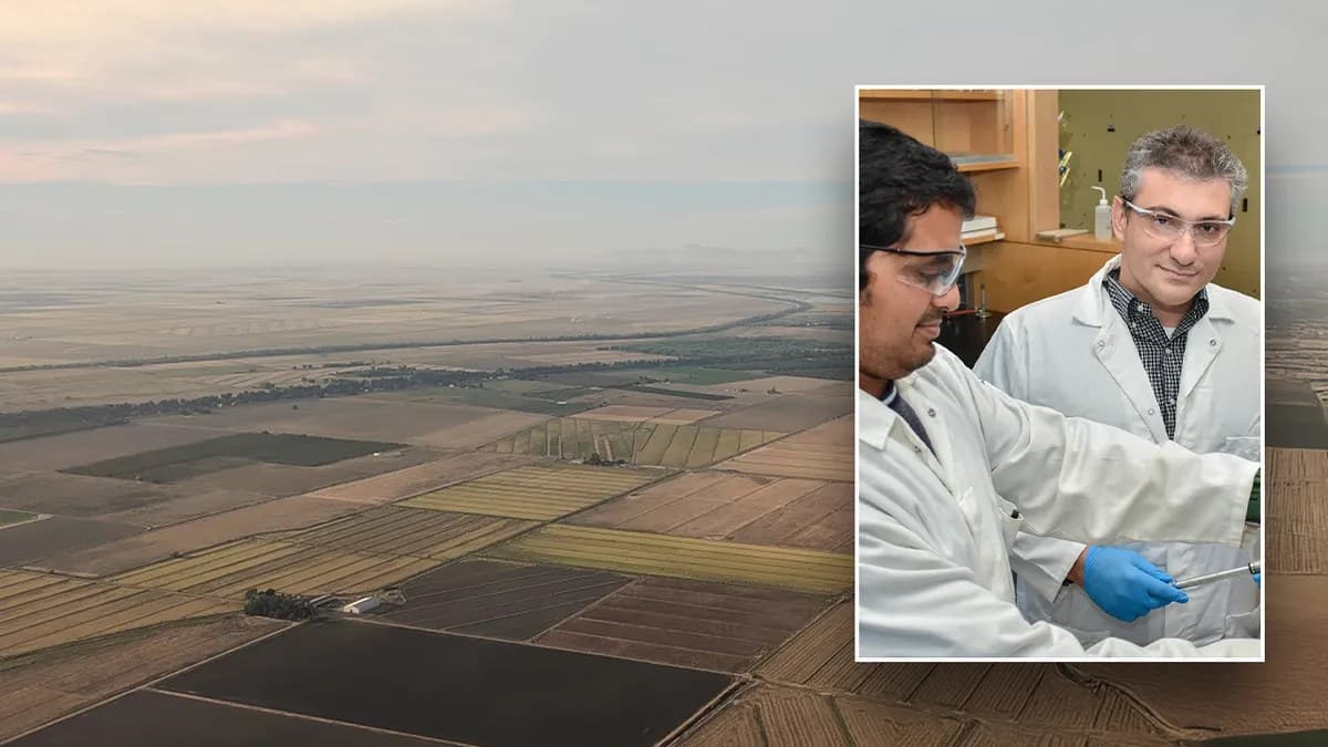 US agriculture industry tests artificial intelligence: ‘A lot of potential’