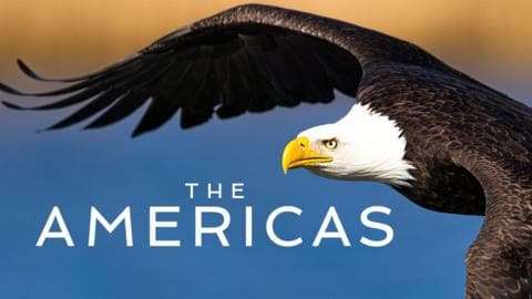 Six Nations 2025: ‘Does it always have to be so dramatic, Scotland?’