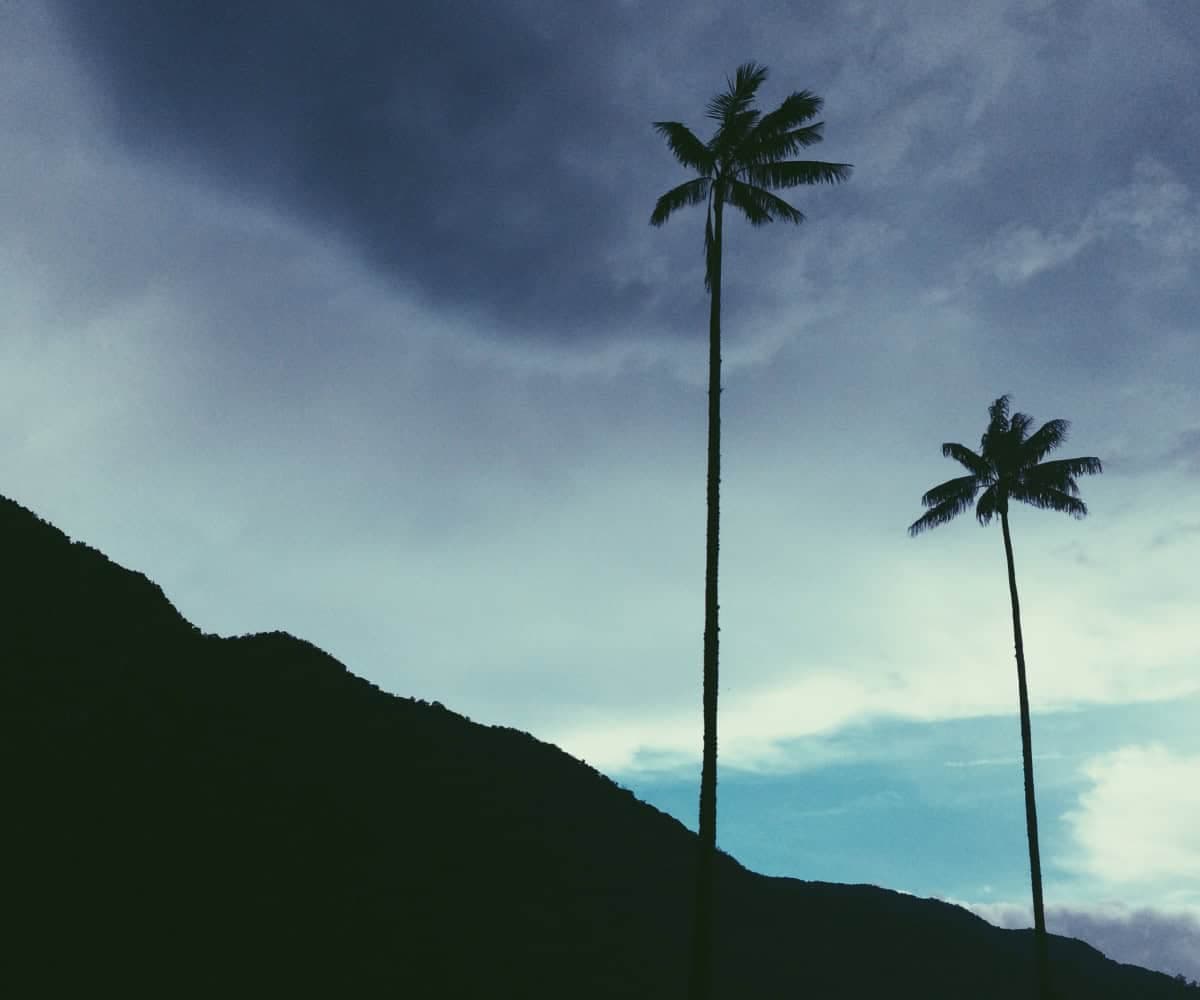 8 stunning Colombian travel spots for 2025